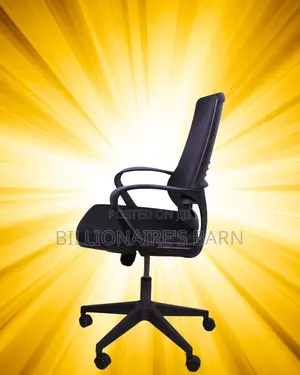 Orthopedic Black Ergonomic Mesh Office Chair | Adjustable Height