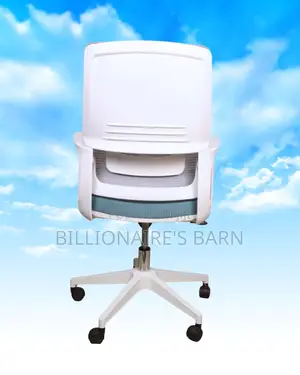 Plush White Ergonomic Mesh Office Chair | Mesh Backrest