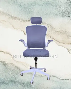 White Ergonomic Office Chair | Pro-Grade Mesh Backrest