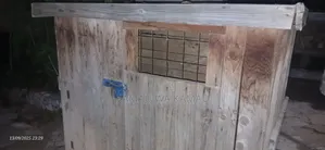 Dog House for Sale