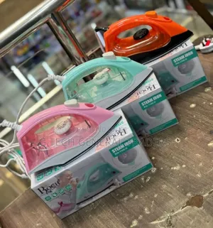Roch Multicolored Heavy Duty Steam Iron Box