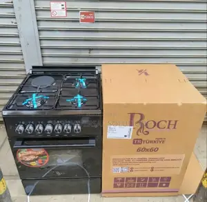 60×60 Standing 3+1 Cooker Roch