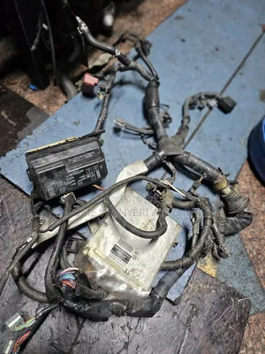 Complete Engine Harness 4a