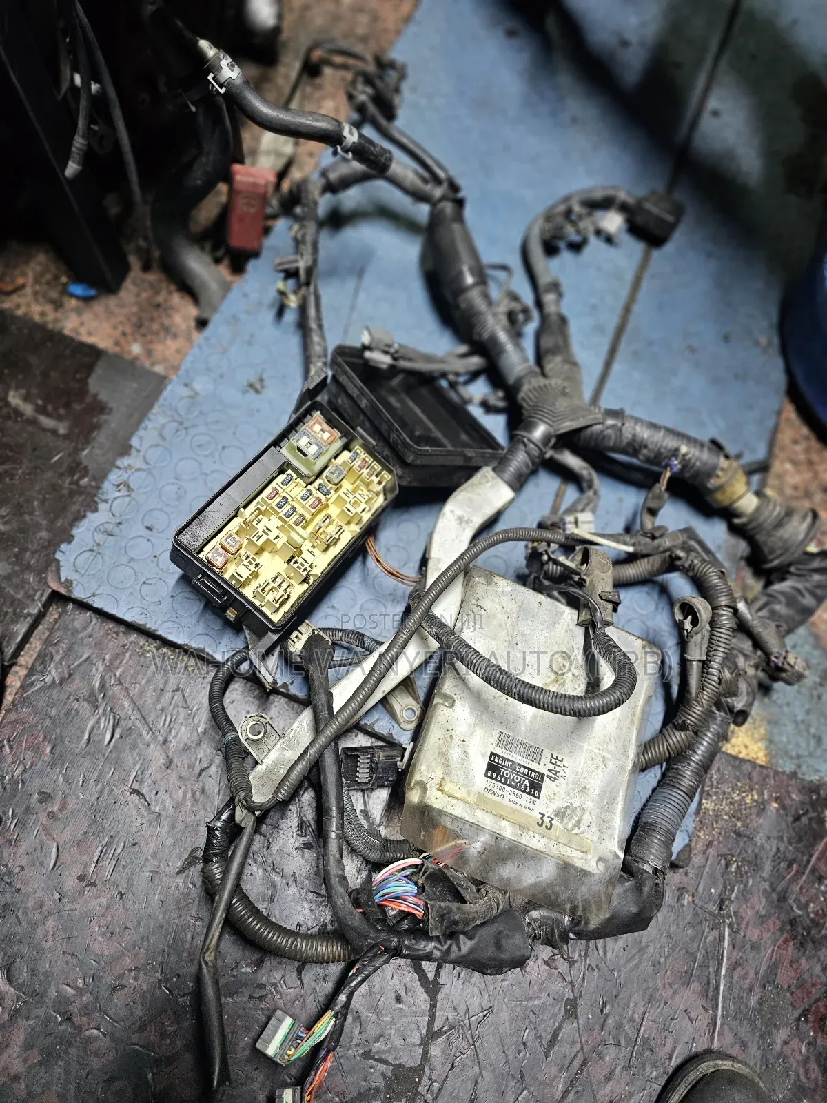 Complete Engine Harness 4a