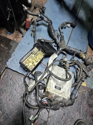 Complete Engine Harness 4a