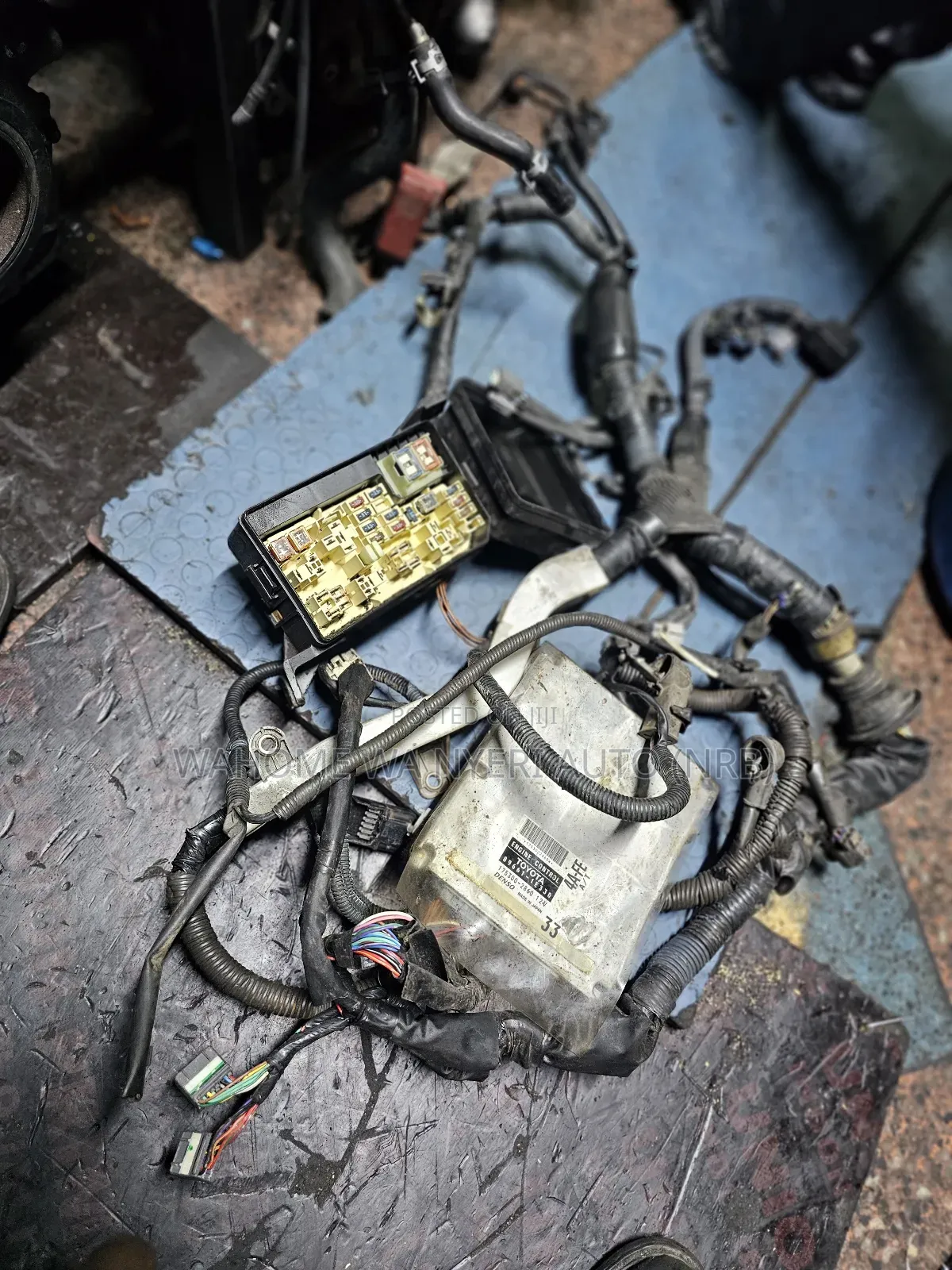 Complete Engine Harness 4a