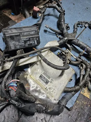 Complete Engine Harness 4a