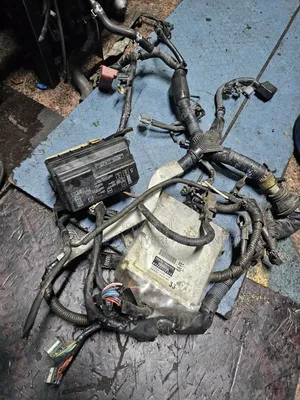 Complete Engine Harness 4a