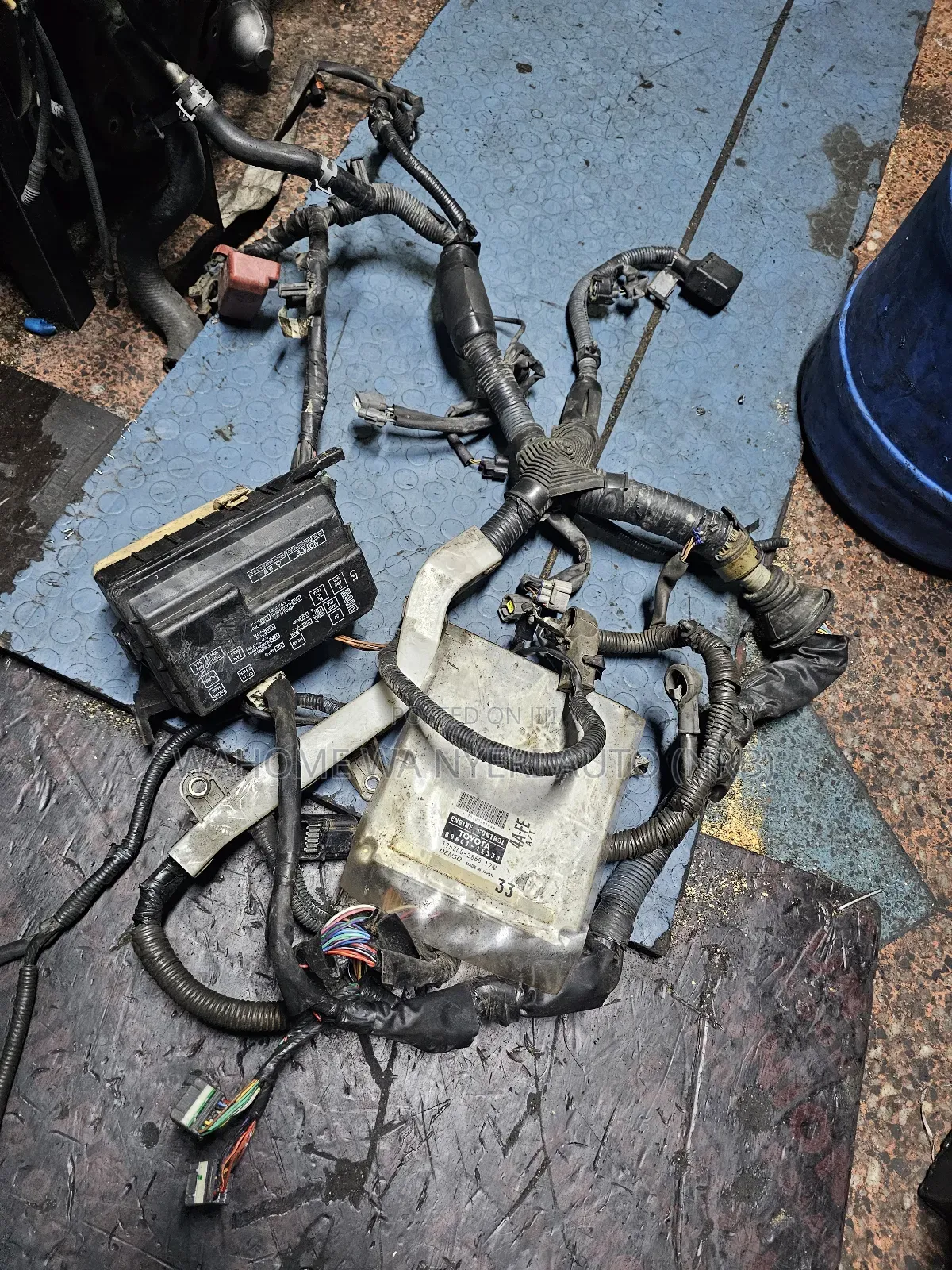Complete Engine Harness 4a