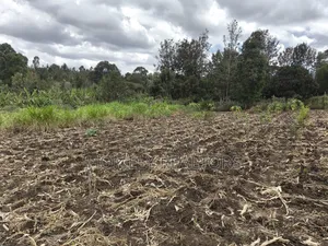 Residential Quarter Acre Corner Plot in Ngong, Ol Keri for Sale.