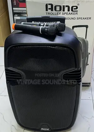 Aone 15 “ Trolley Portable Rechargeable Speaker 6800w PMP