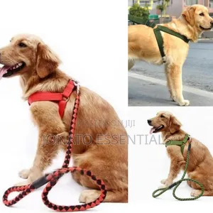 Adjustable Dog Harness Leash Set for Small and Medium Dogs