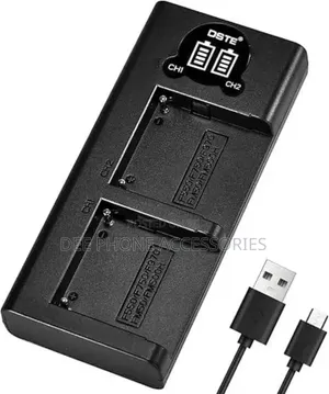 Caisi Cs Np F970 Dual Battery Charger