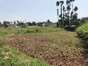 Quarter Acre Plot in Zambezi With Farming Water Connected