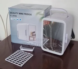 4l Portable Beauty Car Fridge With Mirror and Duo Power Option