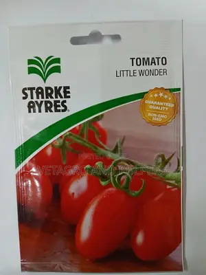 Tomato Little Wonder