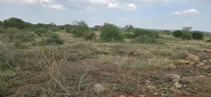 2 Acres for Sale in Lukenya