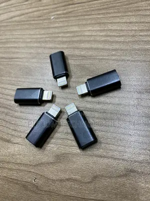 iPhone Male to Female Type -C Otg