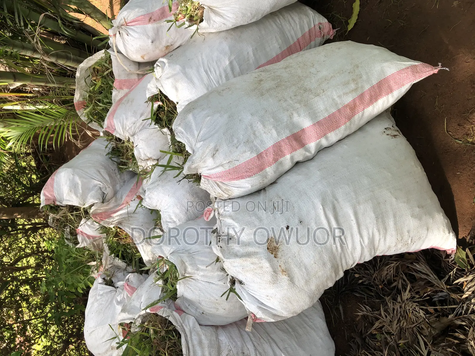 Bustanini Landscapers