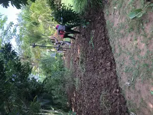 Bustanini Landscapers