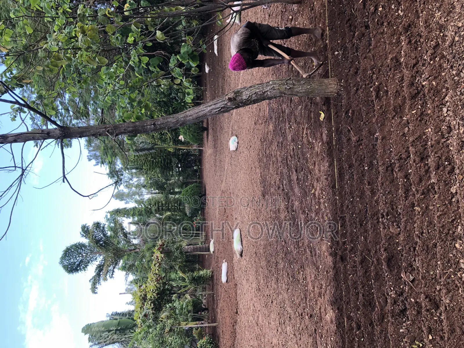 Bustanini Landscapers