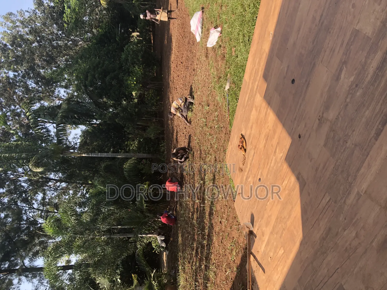 Bustanini Landscapers