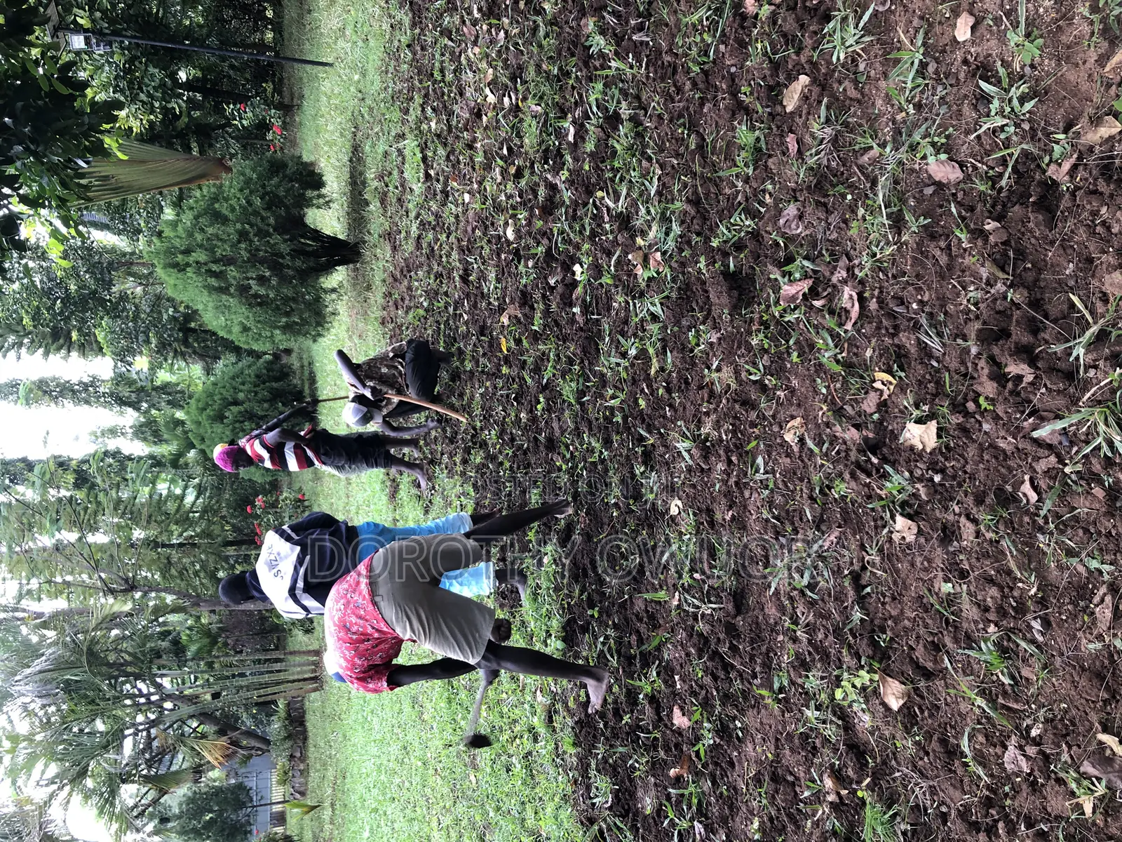 Bustanini Landscapers