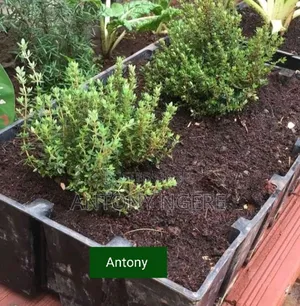 Planters Crates
