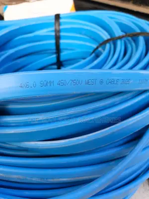 6.0mm 4 Core Submersible Cable East Africa Cable(Price Per Meter)