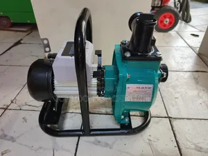 Solarpex Brushless Surface Pump 2" Inch With Controller