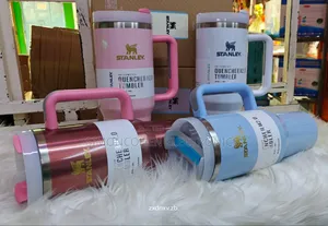 Double Wall Stanley Mugs