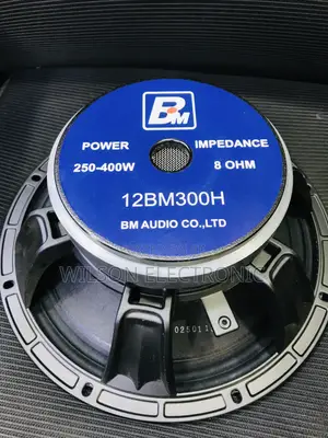Bm Speaker 12 Inches.