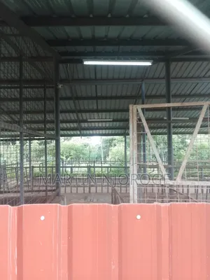 Modern Cow Shed/ Farm Uplands