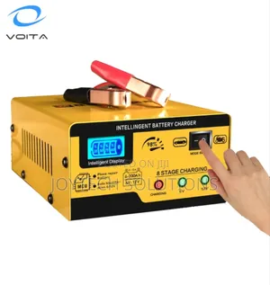 Bolaimei 12v/24v Intelligent Pulse Battery Charger.