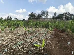 Quarter Acre Red Soil Plots in Kerarapon Drive, Ngong for Sale