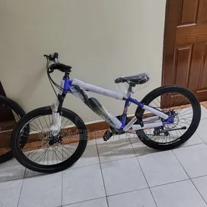 Size 24* Bicycle* With Gear