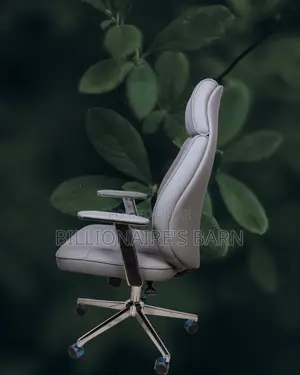 Grey Executive Leather Office Chair (Imported) — Restocked!