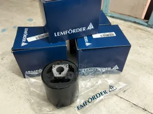 BMW X5 E53 Control Arms Bushes.