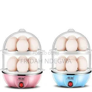 Electric Double Egg Boiler