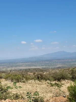 1/2 an Acre and 1/4 Acre Plots for Sale at and Respectively
