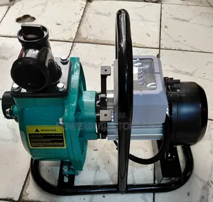 Dc Solar Waterpump 2" 1100w/96v 14m Head