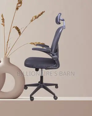 Grey Ergonomic Office Chair (Ergonomic) — Restocked!