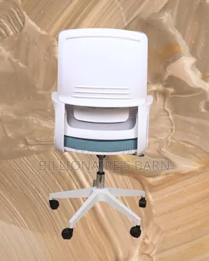 Executive White Ergonomic Mesh Office Chair | Adjustable Height