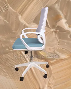 Executive White Ergonomic Mesh Office Chair | Adjustable Height