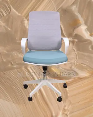 Executive White Ergonomic Mesh Office Chair | Adjustable Height