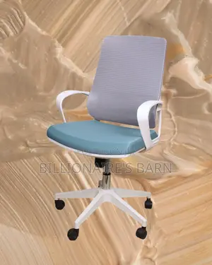 Executive White Ergonomic Mesh Office Chair | Adjustable Height