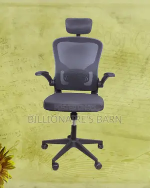 Imported Grey Ergonomic Office Chair — All-Day Comfort