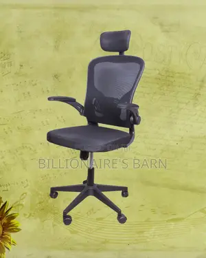 Imported Grey Ergonomic Office Chair — All-Day Comfort