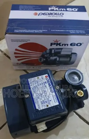 0.5hp Pedrollo Water Pump Pkm60/Quality Electric Pedrollo Pump