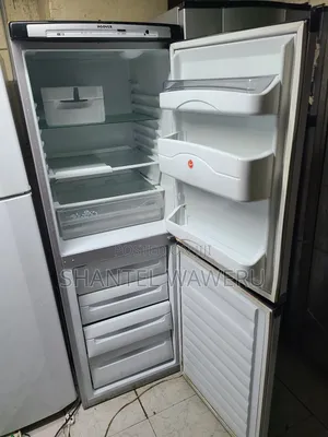 Bottom Freezer / Fridge Sanyo